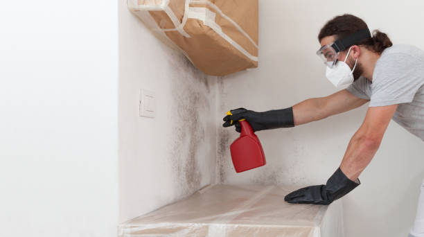 Professional Commercial Mold Remediation technician working in Williston Park, NY